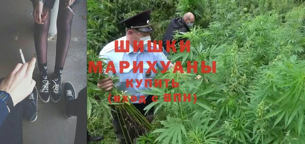 эйфоретик Липки