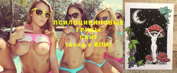 эйфоретик Липки