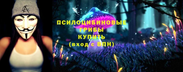 прущий лед Лиски