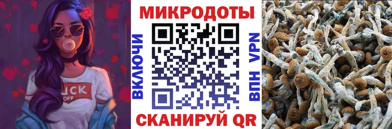 Купить где  Касли  Галлюциногенные грибы Magic Shrooms 