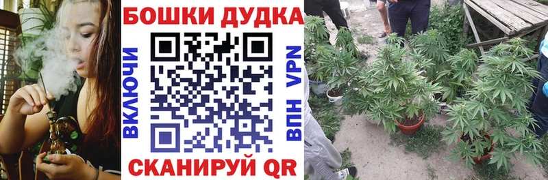 Купить  Касли  Канабис Amnesia 